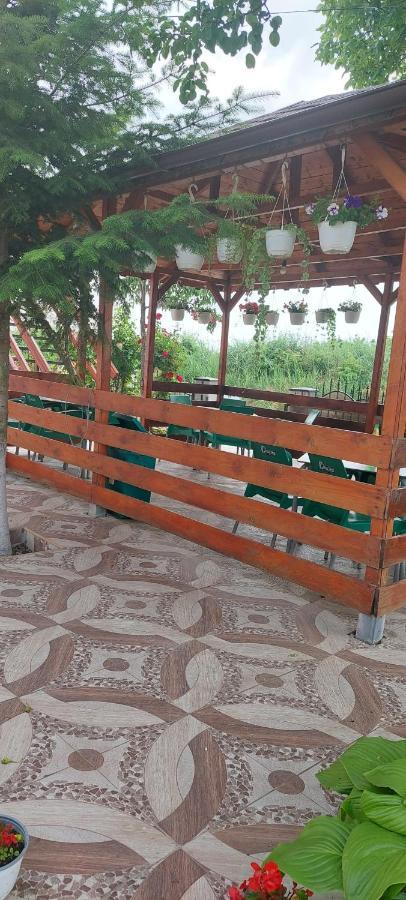 Pensiunea Happy Flowers Greci المظهر الخارجي الصورة
