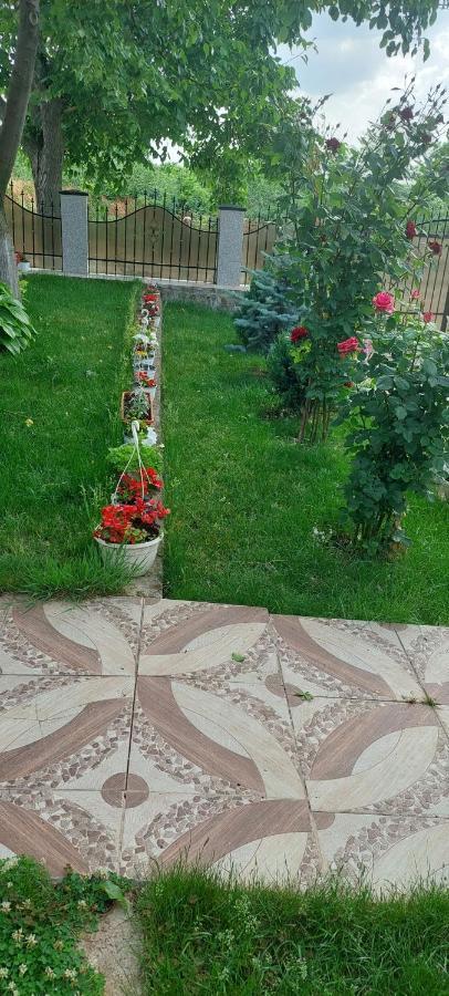 Pensiunea Happy Flowers Greci المظهر الخارجي الصورة