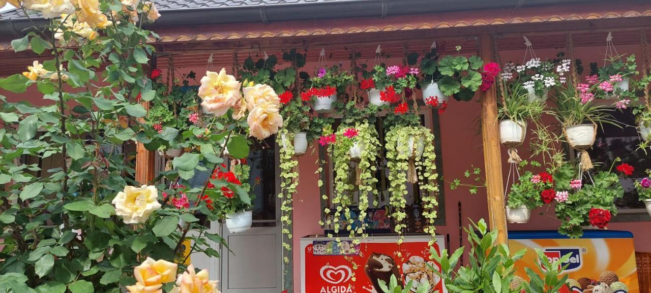 Pensiunea Happy Flowers Greci المظهر الخارجي الصورة